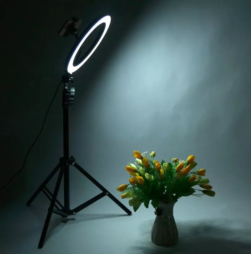 Utilizare lampă pentru fotografie și machiaj